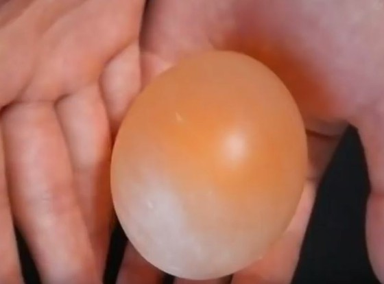 お酢につけると卵がスケルトン卵に変化する 思わずwow ワウゲームニュース