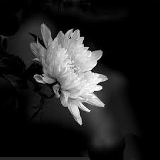 怖い話 韓国語での ご冥福をお祈りいたします 思わずwow ワウゲームニュース 怖い話 韓国語での ご冥福をお祈りいたします 思わずwow ワウゲームニュース