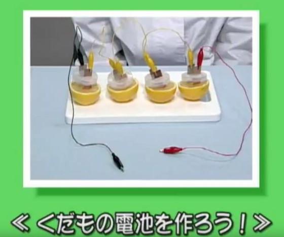 くだものが電池になるって知ってた 作ってみようくだもの電池 思わずwow ワウゲームニュース