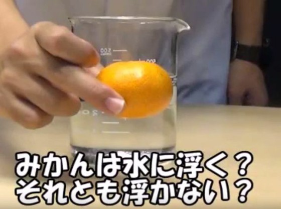 果物や野菜は水に沈む 思わずwow ワウゲームニュース 果物や野菜は水に沈む 思わずwow ワウゲームニュース